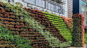 Dwarka Expressway Thumbnail