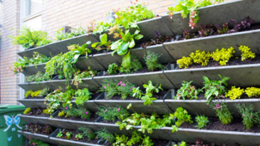 Primary Vs Secondary Thumbnail