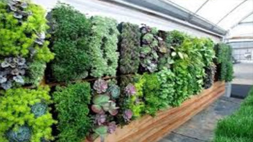 Women Driving Real Estate Growth